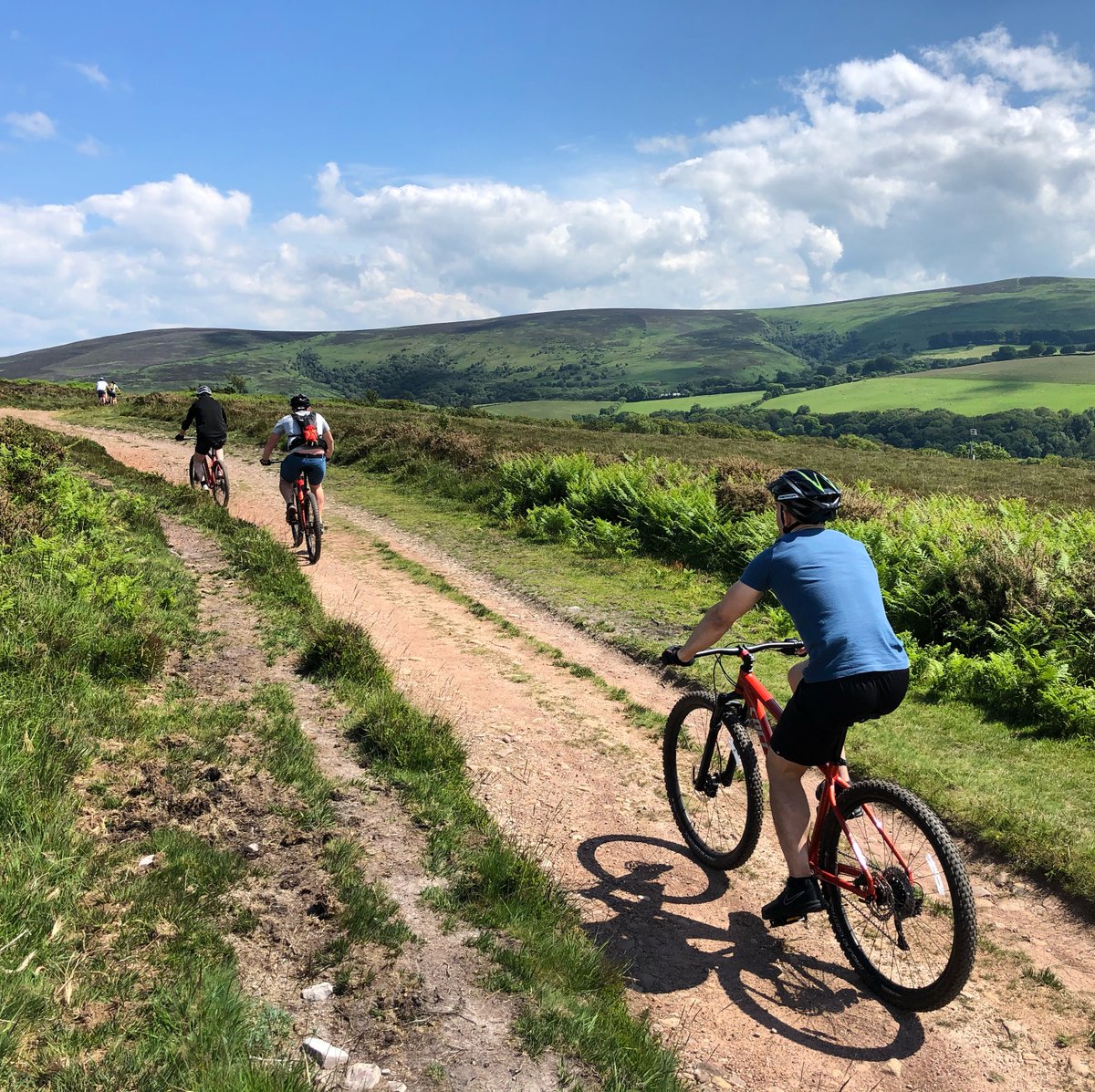 Visit Exmoor tweet media