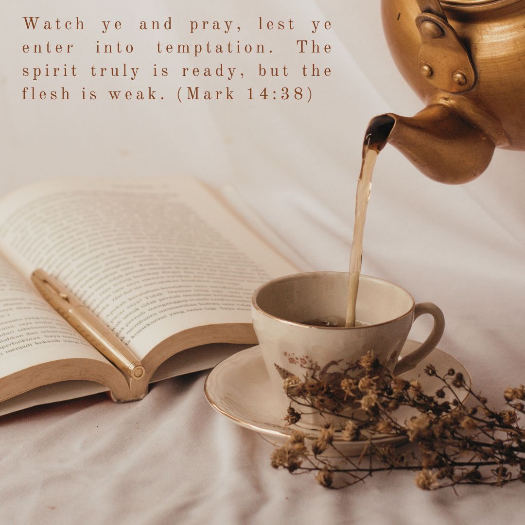 Watch ye and pray, lest ye enter into temptation. The spirit truly is ready, but the flesh is weak. 
(Mark 14:38)
