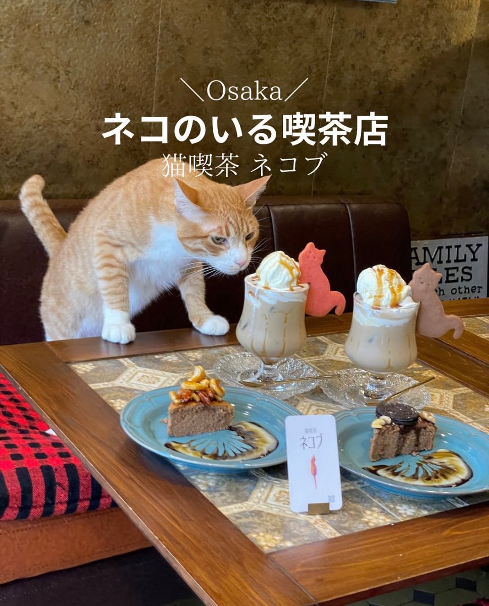 狙ってる
確実に