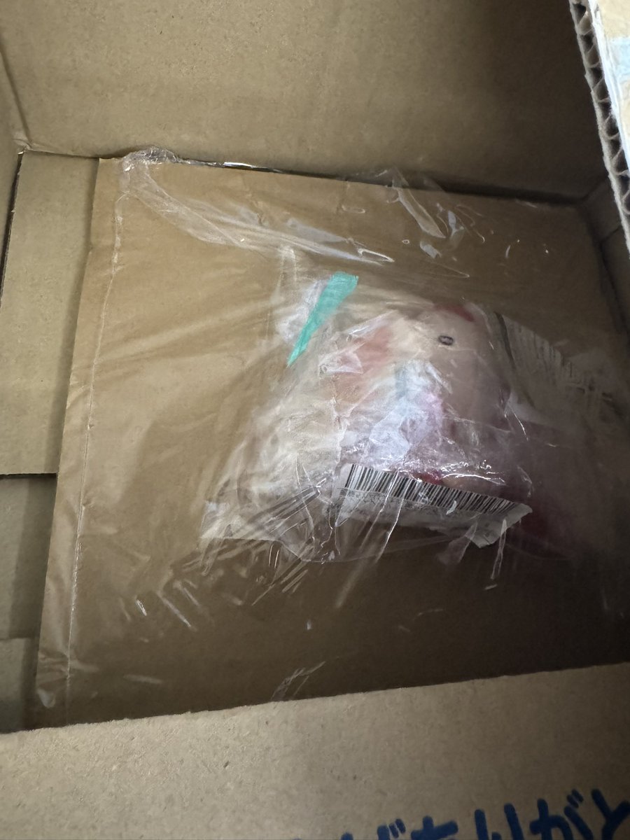 やっと届いた🫠
ルビィちゃん🥲