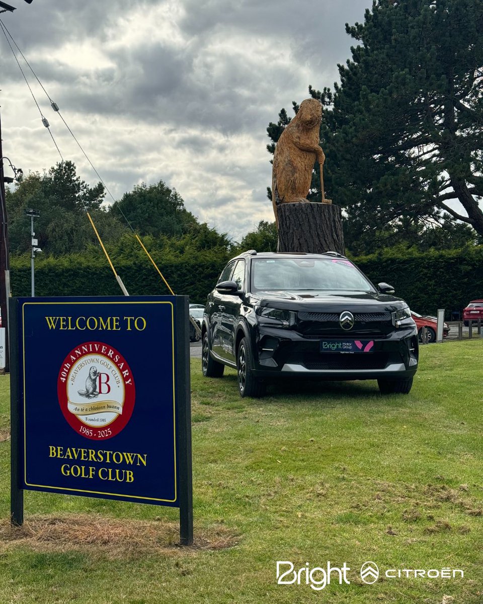 Bright Motor Group tweet media