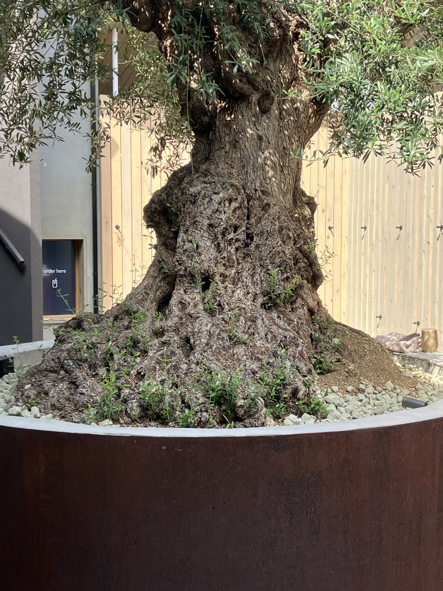 88junray's tweet image. 岡山のスゴイサウナだよ♨️