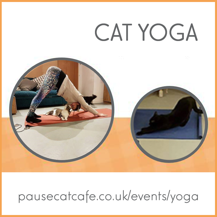 Looking for a feel-good way to unwind? 🧘‍♀️

Cat Yoga is back at <a href="/PauseCatCafe/">Pause Cat Cafe</a>  on Saturday 28th September – join this laid-back session, stretching it out among the café’s friendly rescue cats.

Find out more and book your spot before it’s too late: bit.ly/4m4OpNh