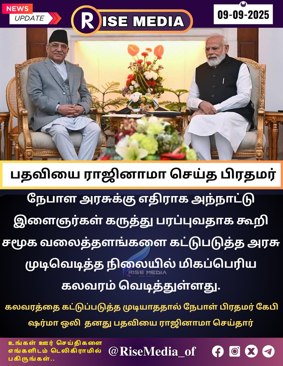 Rise Media tweet media