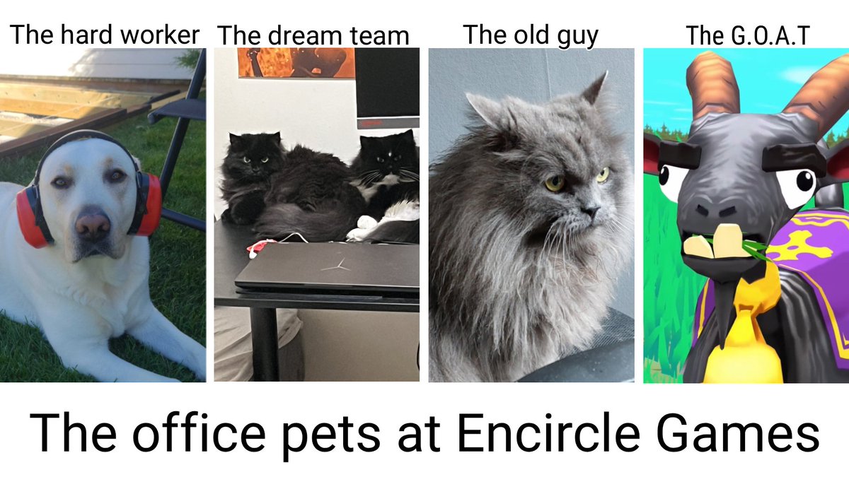 Sharing some joy from the Encircle Games team. Say hi to our pets! 🐾

#indiedev #cats #dogs
