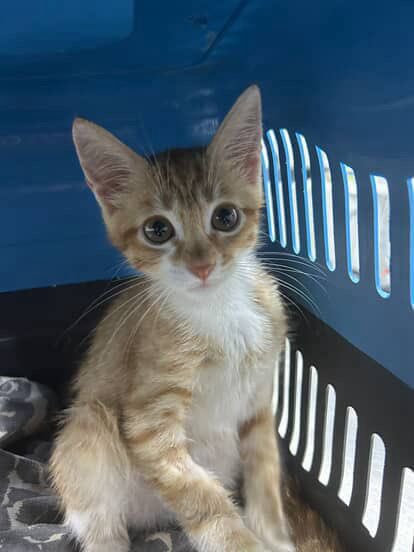 canı biz yufa arıyoruz da kardeşimle