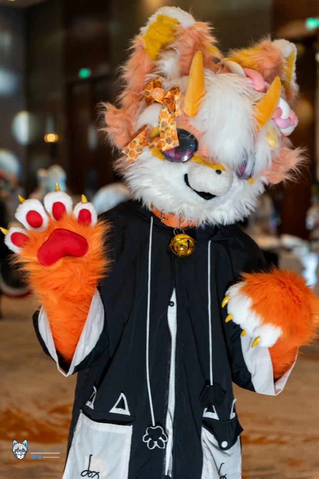 泥嚎，这里是橘子，请多多指教～