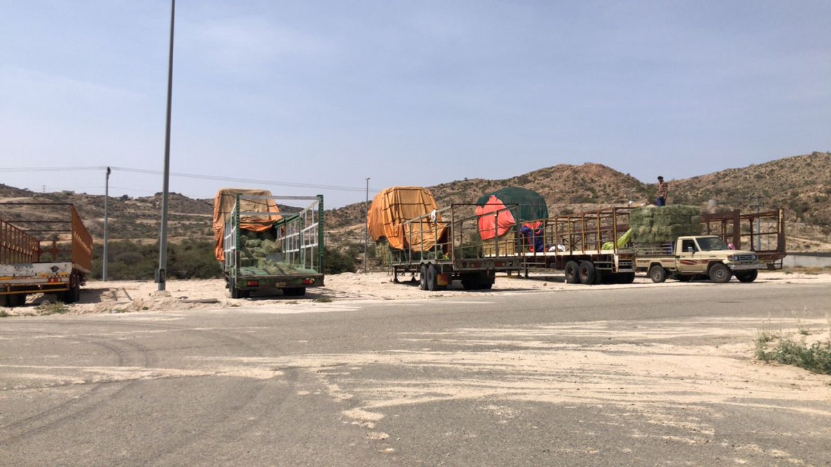 #أخبار_بلقرن tweet media