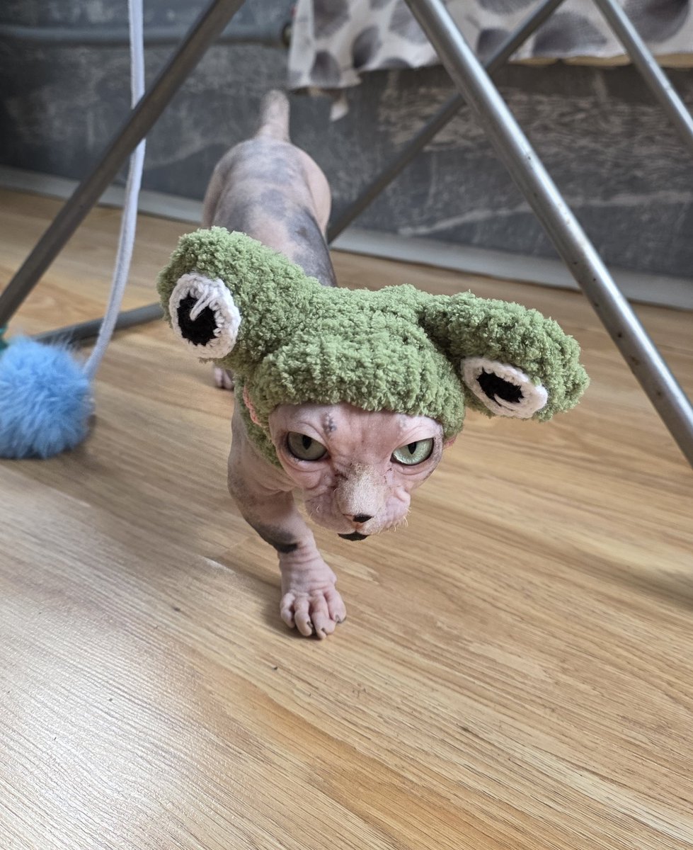 Лягушка-убийца 🐸🔪