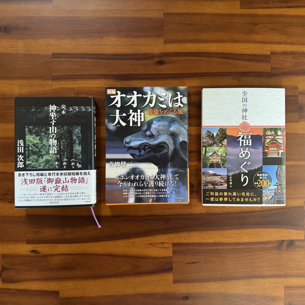 河辺駅の文教堂さんの御嶽コーナー
ちょうど御嶽について調べようと思ってたので、本３冊を衝動買い📕
そのうち宿坊の歴史について勉強したい
#青梅 #歴史 #御嶽