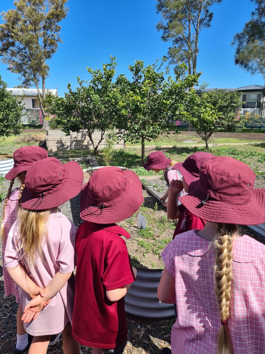 WindangPS tweet media