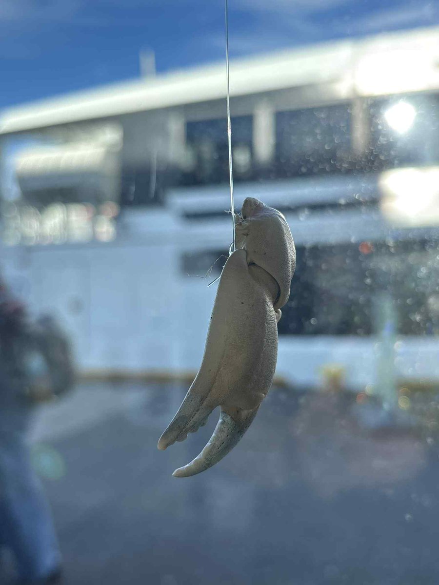 Kull 40, Solundutstillingen 2025, i år på Strandkaiterminalen, utstillingen står til november

Hvert år reiser 1. klasse ut i feltarbeid den første måneden av studiet på BAS. Til kysten, til området ved land og vann, der de første menneskene i Norge kom for ca. 10 000 år siden.