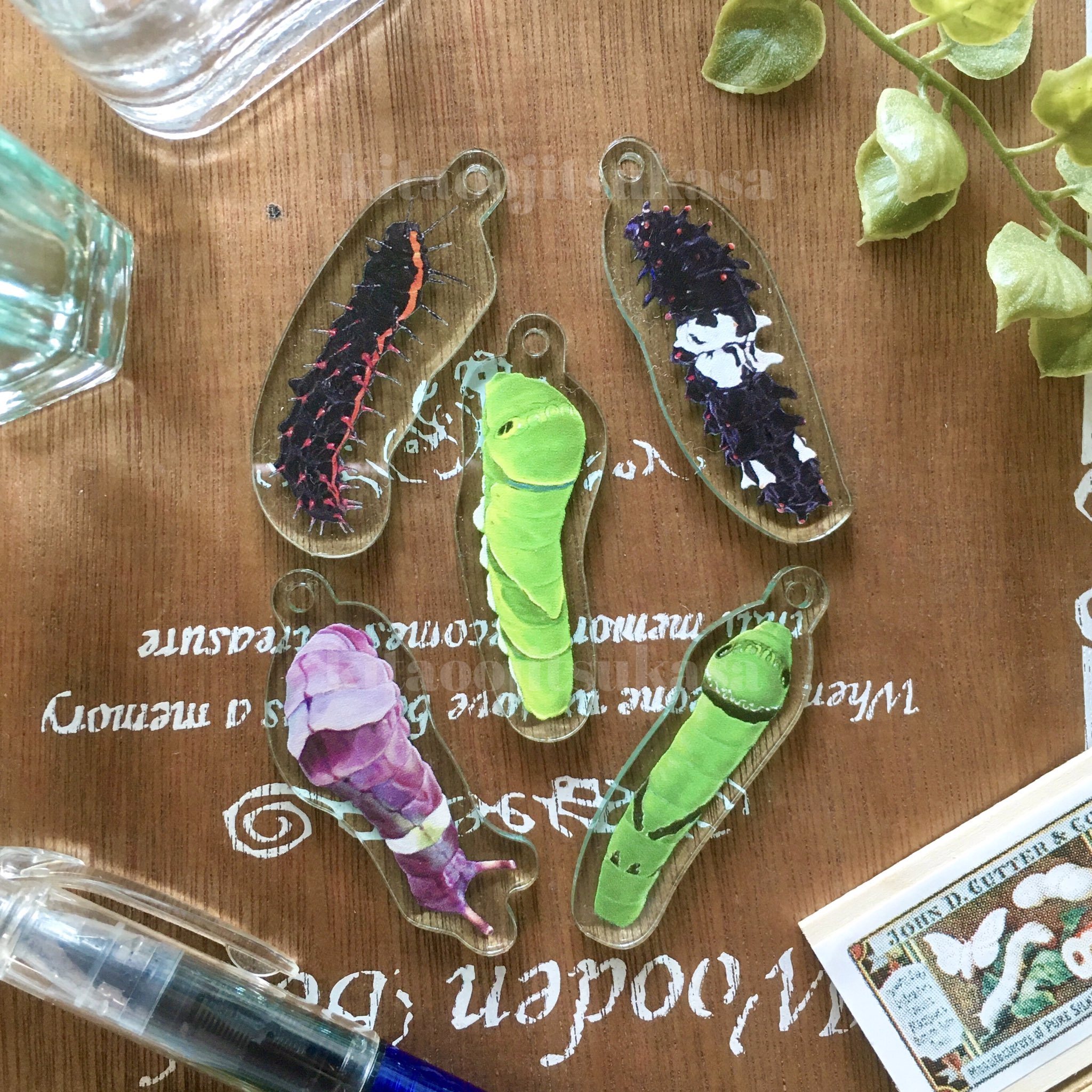蝶と蛾の祭展【2025.10/1-5】 on X: 