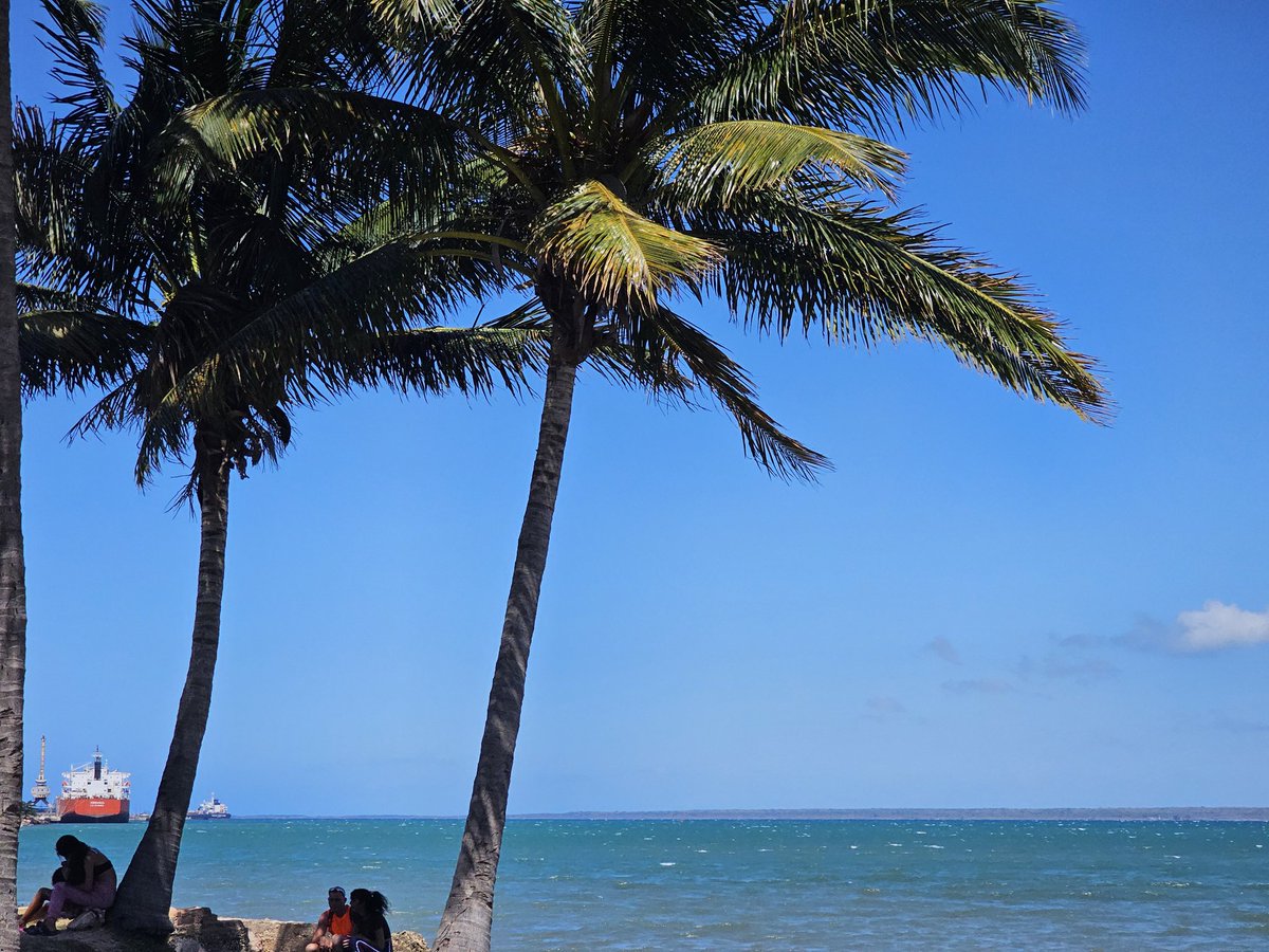 Viva la paz y armonía!
Y del versar la belleza
He visto con la pureza
El sentir de la alegría
A veces el alma mía
Se estremece por encanto
Oigo acordes de aquel canto
Por vueltas que da la vida
Vuelvo a la mar que convida
Las olas traen su manto
#DíaInternacionalDeLaBelleza