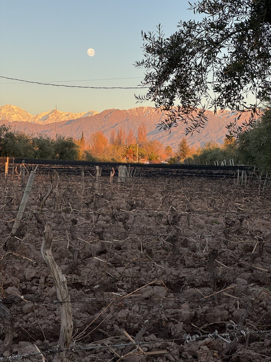 amanece en la primera zona #Mendoza totora zarcillos precordillera &amp; el plata