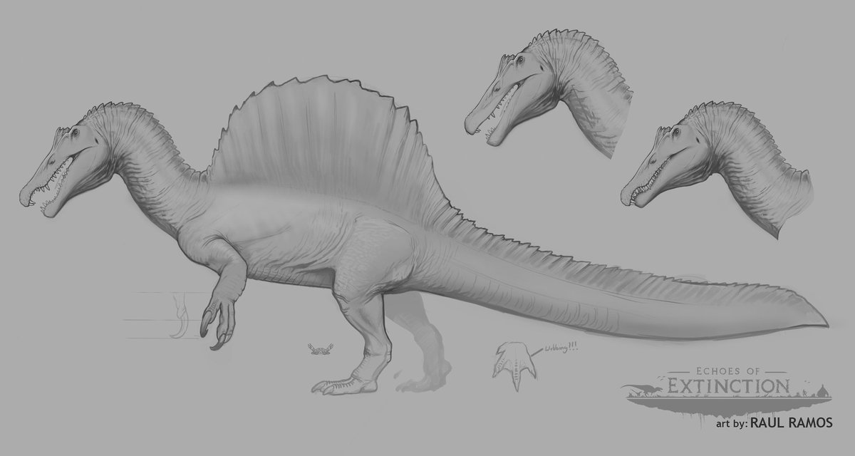 The shallow's nightmare is on the horizon. 

Our Spinosaurus design has recently been completed in preparation for our crowdfunding campaign! (the model is still a ways away)

#EchoesOfExtinction #Dinosaurs #Spinosaurus #paleoart #indiegame