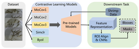 Applsci's tweet image. 🔥 Read our Paper
📚 Instance Segmentation of Shrimp Based on Contrastive Learning
🔗 mdpi.com/2076-3417/13/1…
👨🔬 by Heng Zhou et al.
#shrimpfarming #unsupervisedlearning