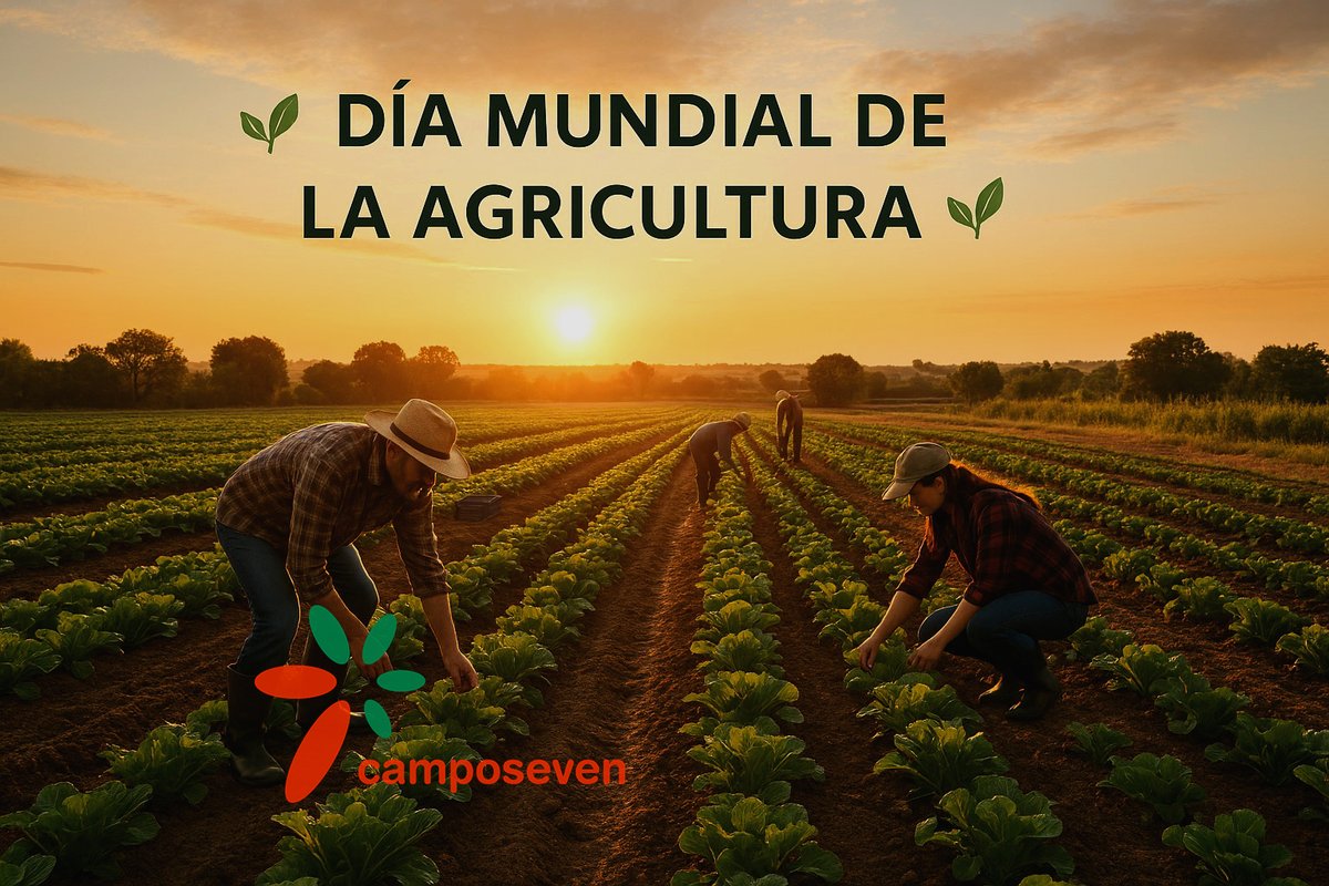 Día Mundial de la Agricultura🌱

Lo vivimos cada día, ocho familias unidas por una misión, cultivar la tierra de forma ecológica para ofrecer alimentos de calidad.
Porque cada cosecha es mucho más que un producto: es compromiso, innovación y futuro. 🌍💚