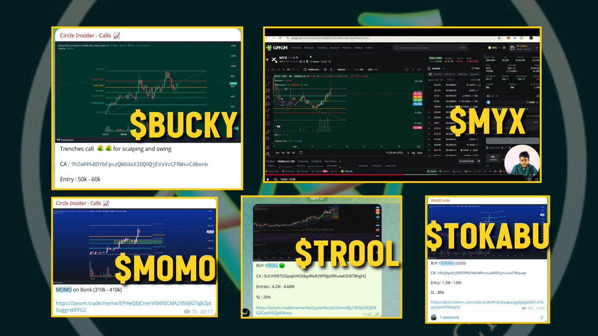 🚀 Last 3 months of My Circle Insider Alpha calls 👇

$BUCKY → 50K MC → 1500x

$MYX → 87M MC → 250x

$MOMO → 310K MC → 150x

$TROLL → 4M MC → 71x

$TOKABU → 1M MC → 77x

And this is just the beginning 🔥

Follow for the next 100x gems 👇
🔗 web3circle.xyz/insider
