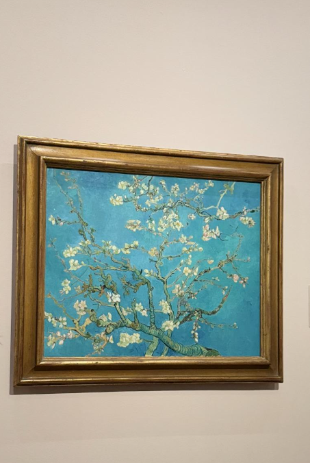 I really enjoyed the curatorial work of the Van Gogh Museum, which explored Van Gogh's life and his immense love for rural life. In his paintings, every blade of grass and every tree in the countryside, as well as the simple labor of the farmers, are imbued with unique vitality.