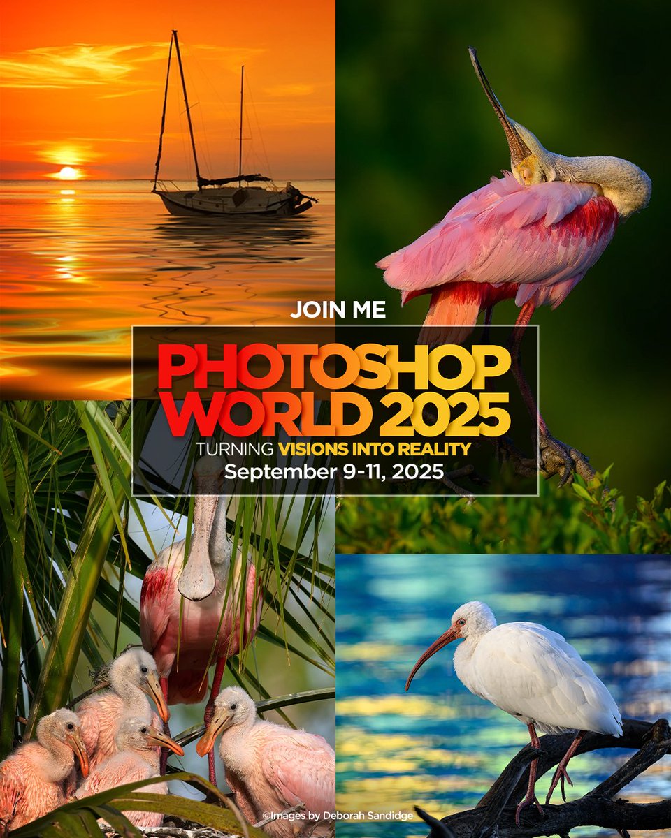 PSW starts today! I hope you can join us! My class begins at 4:45 pm, Track C- Avian Stories: Exploring Birdlife Through the Lens. I'm excited to share creative ideas and techniques with you!🦩🦩🦩
Don't miss all the great classes, inspiration, and learning at Photoshop World!