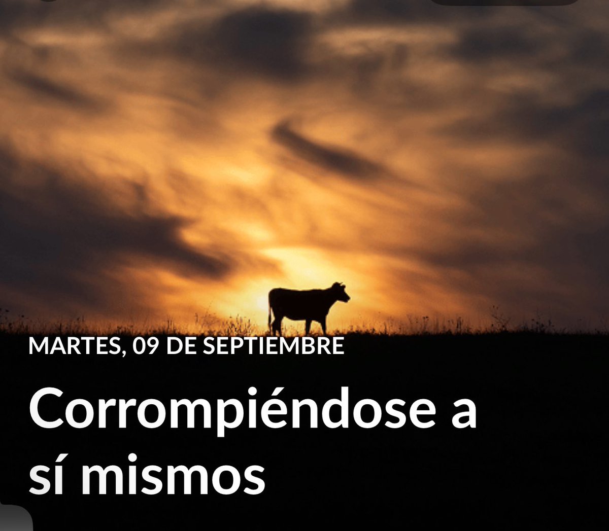 Si Dios no está en el centro de tu vida, entonces otros dioses ocuparán su lugar. Si no disfrutamos y cultivamos la presencia viva de Dios, disfrutaremos y dedicaremos nuestra vida a algo o a alguien más. #LESAdv