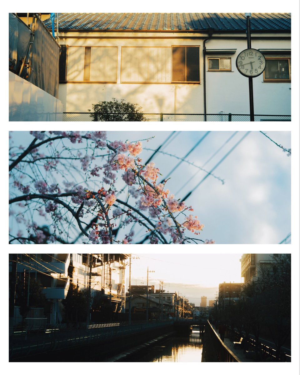 hinamin012's tweet image. life
