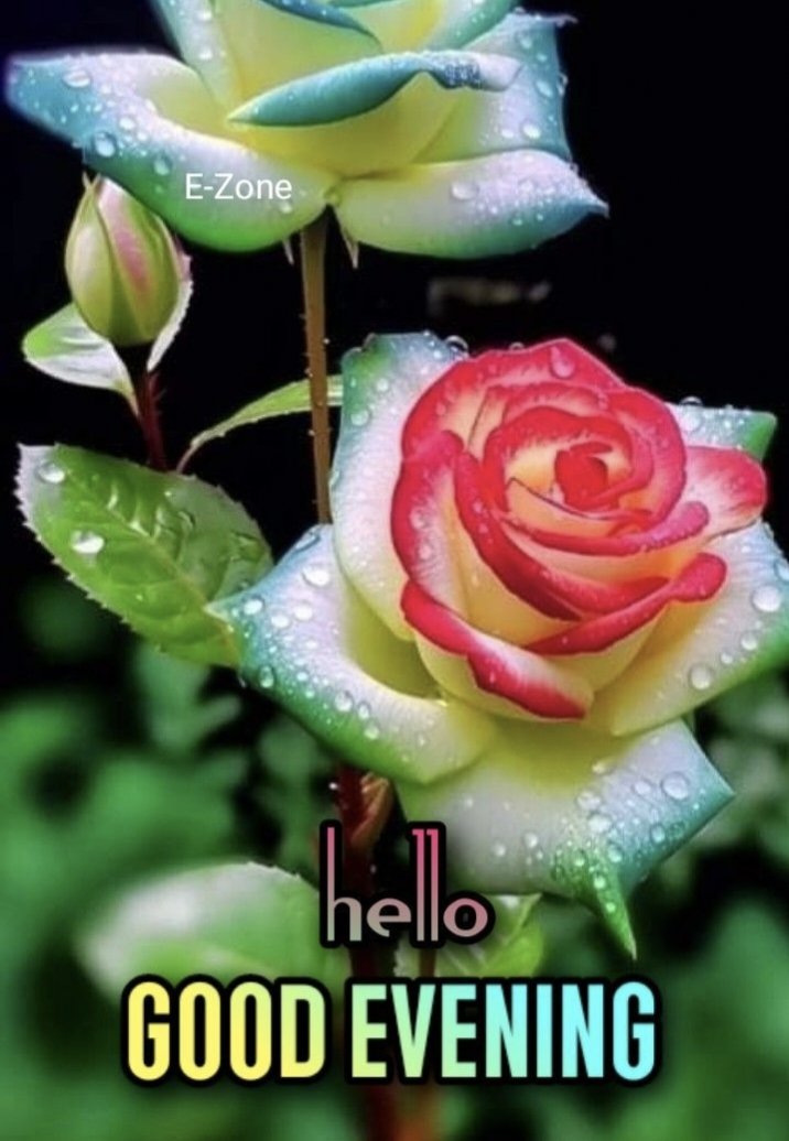 Good evening dear 🌄😘