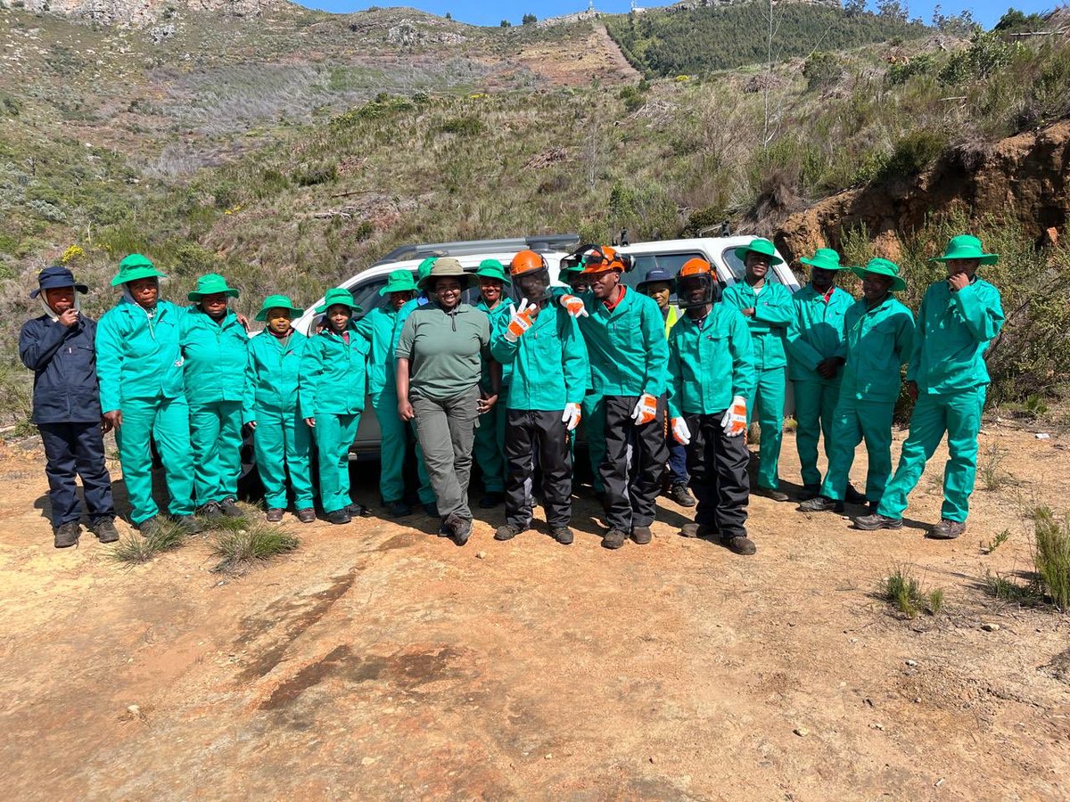 This is Maureen Mbola and team working on the slopes of <a href="/PlaisirEstate/">Plaisir</a> to eradicate alien vegetation. A South African good news story: job creation, fynbos protection, more water availability for everyone…