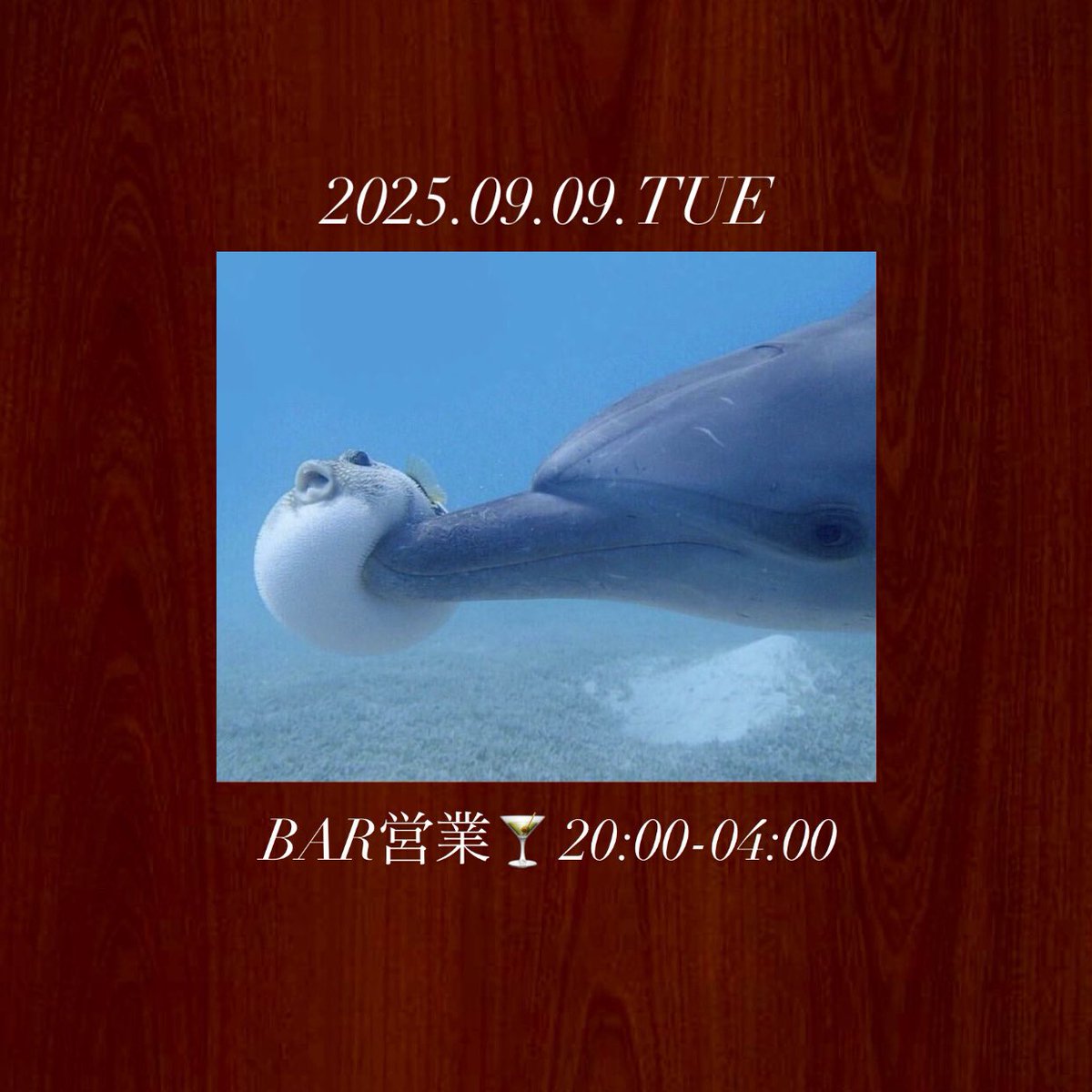 音溶 oto-doke (@oto_doke) on Twitter photo 