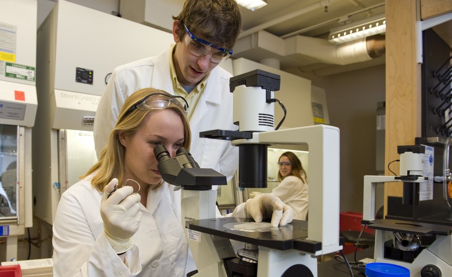 54 cerebros.

Un experimento.

El MIT está alarmado.

Algo invisible está reprogramando nuestras mentes.