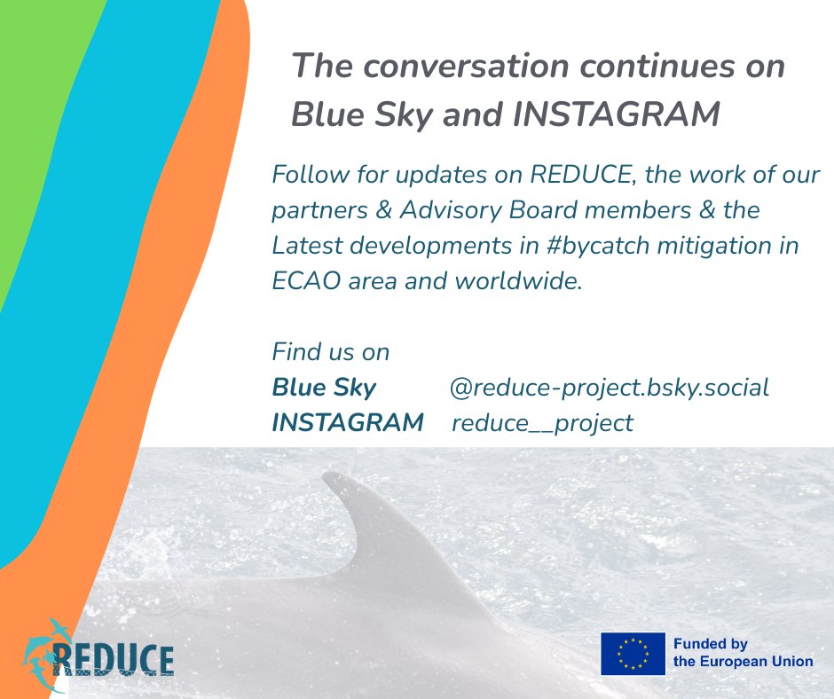 ReduceProject's tweet image. As we had announced some months ago, we´re finally leaving X. So long 👋,X.
From now on, you can find us over on BlueSky (@reduce-project.bsky.social) and INSTAGRAM (reduce__project) where the conversation continues on REDUCE work & the latest developments in #bycatchmitigation