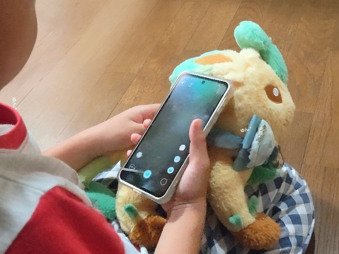 ポケモンGOやるときも一緒でARでリーフィアを出して、リーフィア見て！リーフィアがここにいるよ！って大喜びでリーフィアに伝えていました🥰
尊い、、♡
#くたくたたった