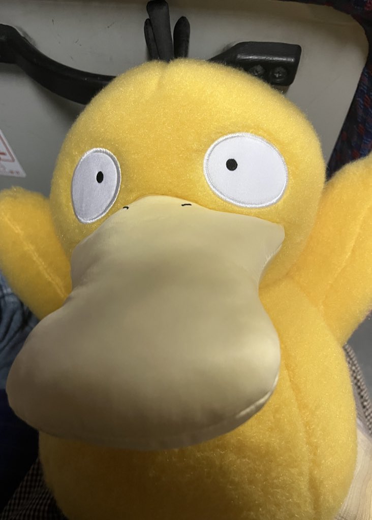 Napopo (@napopo3desu) on Twitter photo 