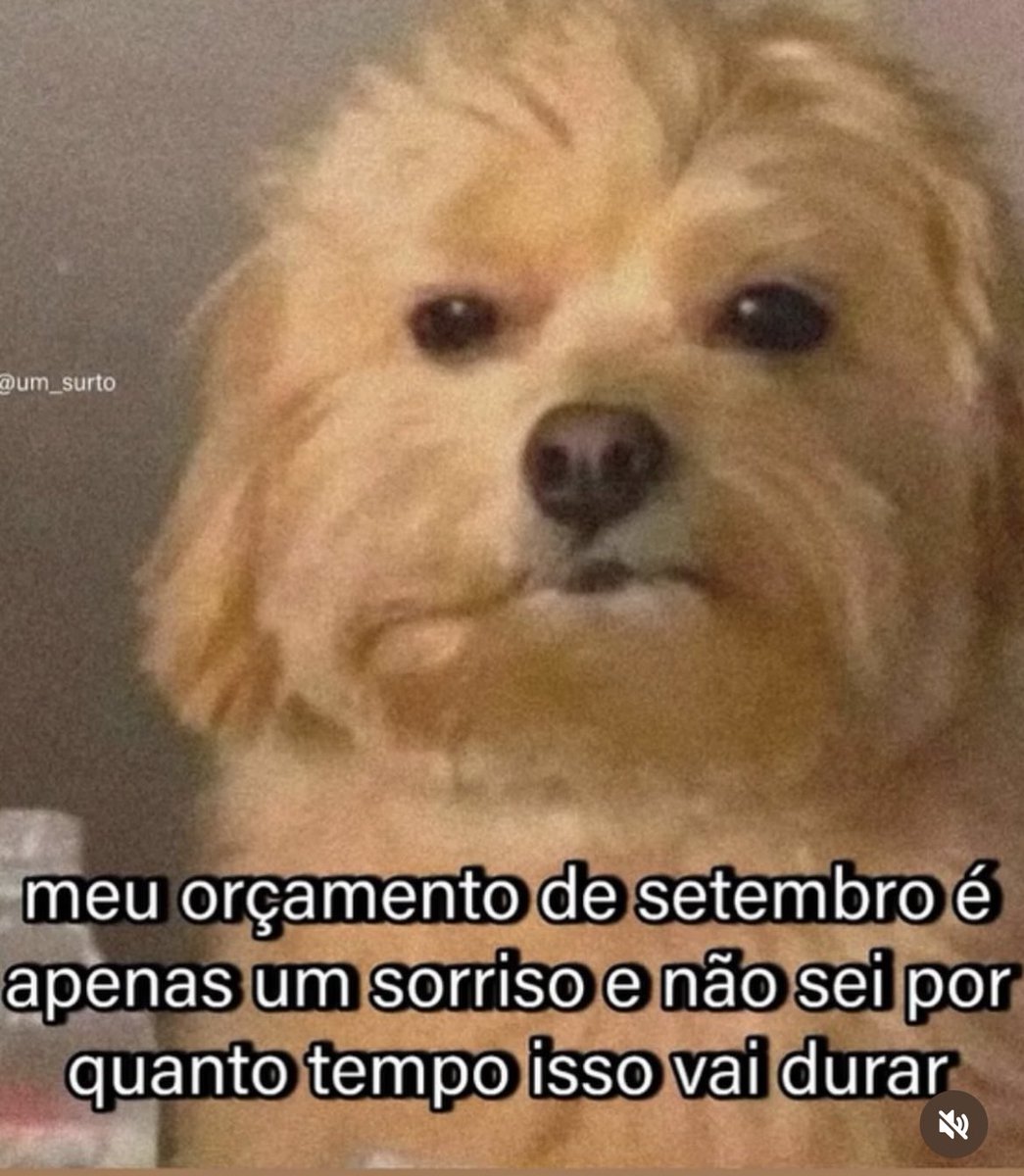 vittor (@vittor) on Twitter photo 