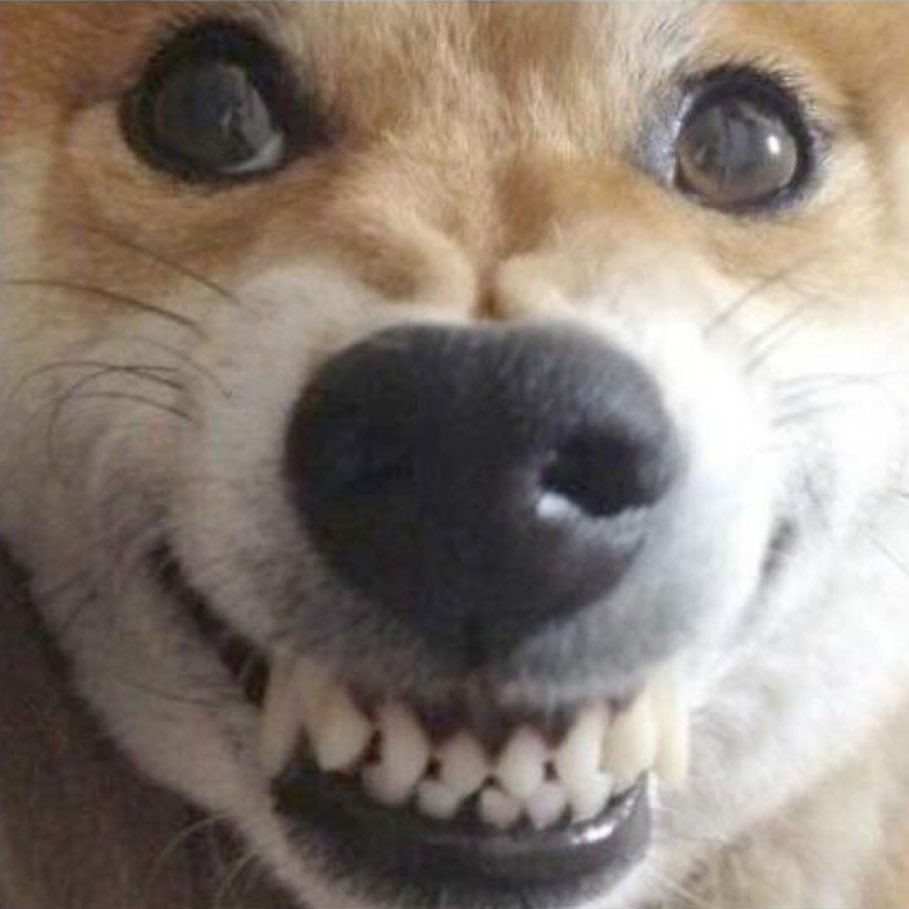 CHEH 알티 (@ceonlyrt) on Twitter photo 