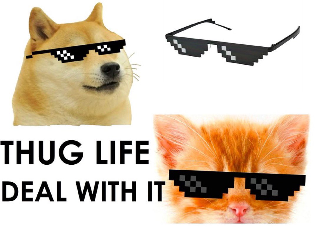 Life is shit sometimes but with the glasses on you can’t see it. 

Get a bag, improve your life. 

#thuglife