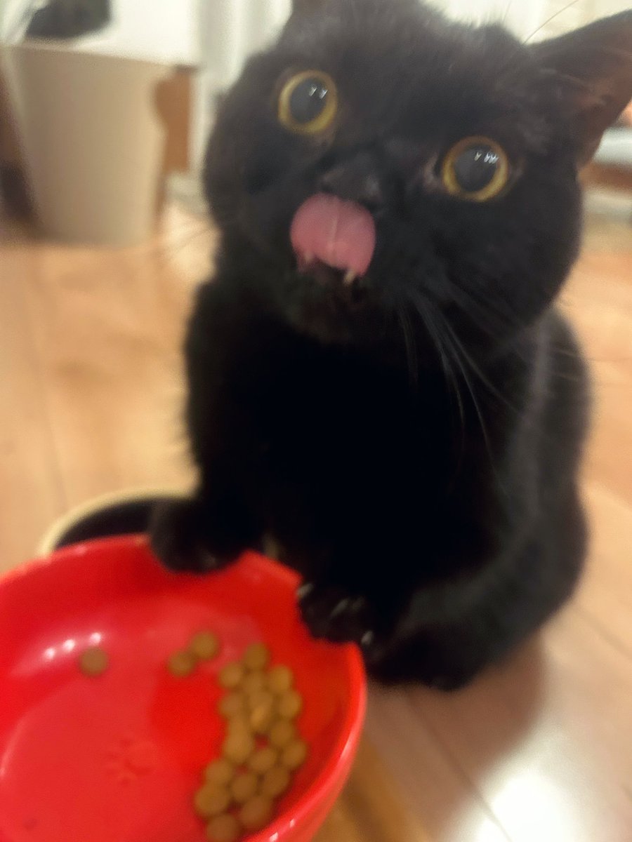 ごはんがおいしかった時の顔みて