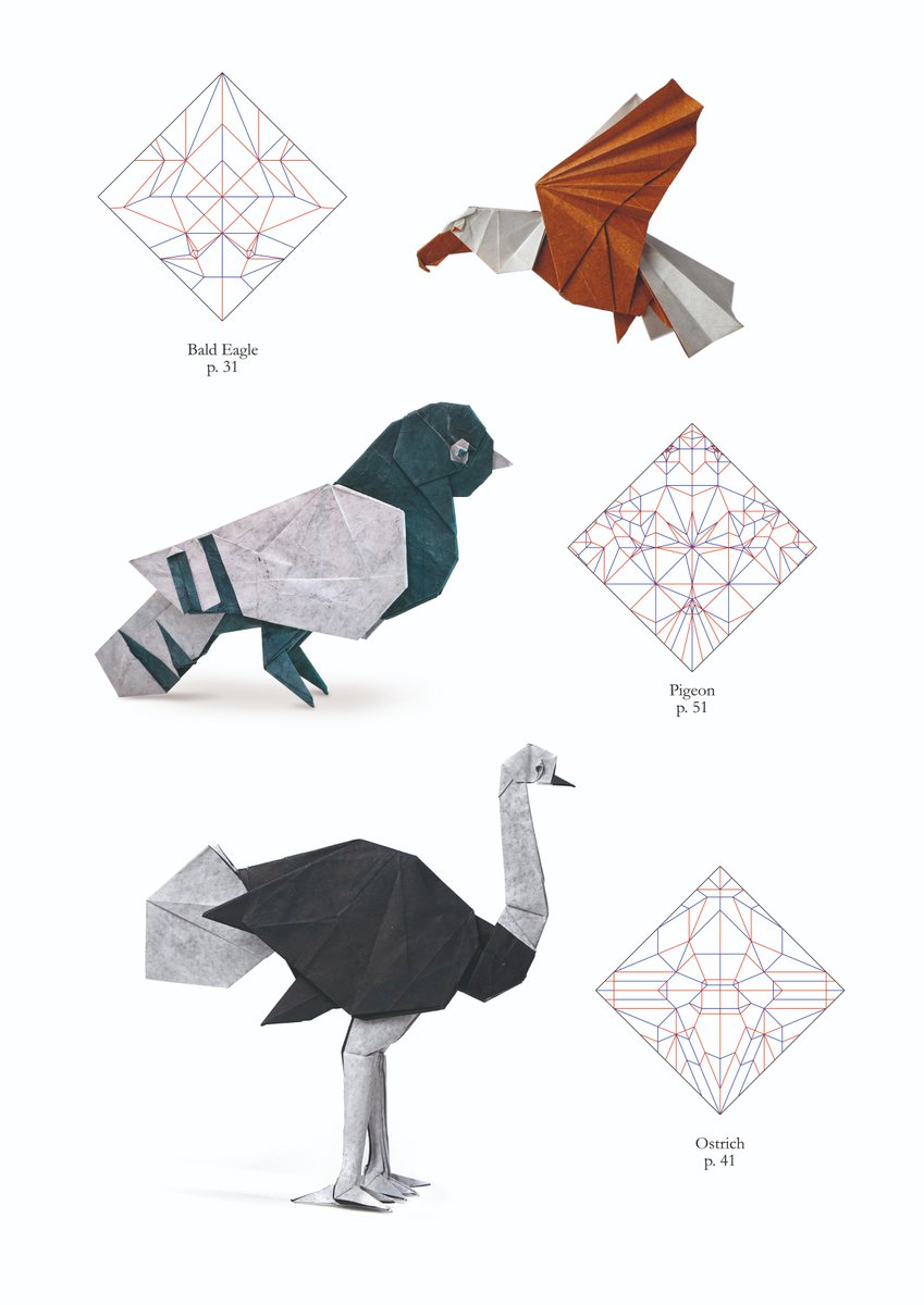 I first discovered Sampreet Manna through this remarkable pigeon with a pupil !
At that moment, I knew I had to keep an eye on him…
You can have a look to his upcoming book here origami-shop.com/origamilifewin…
Book  available this October.

#origami #origamishop #nicolasterryorigami