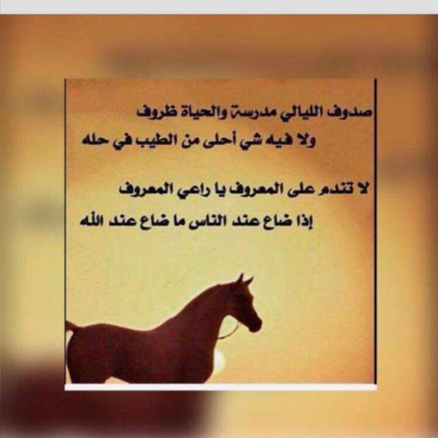 سلطان (@mhbyb30913) on Twitter photo 