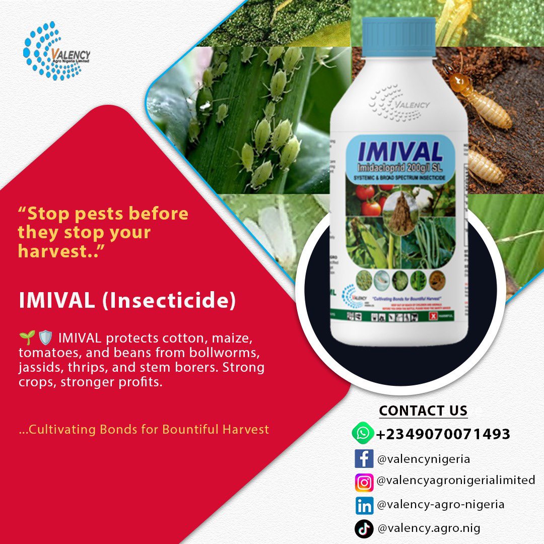 valencyagronig's tweet photo. Stop pests before they stop your harvest.

 🌱🛡️ IMIVAL protects cotton, maize, tomatoes, and beans from bollworms, jassids, thrips, and stem borers. Strong crops, stronger profits. 

 #IMIVALProtects #PestControl #ValencyAgroNigeria https://t.co/q29jqUiWyX