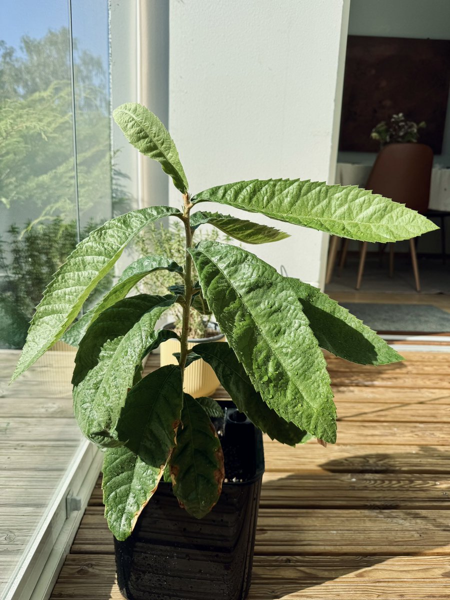 Ребёнок подрос за полгода