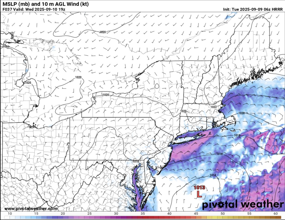 Tim Kelley tweet media