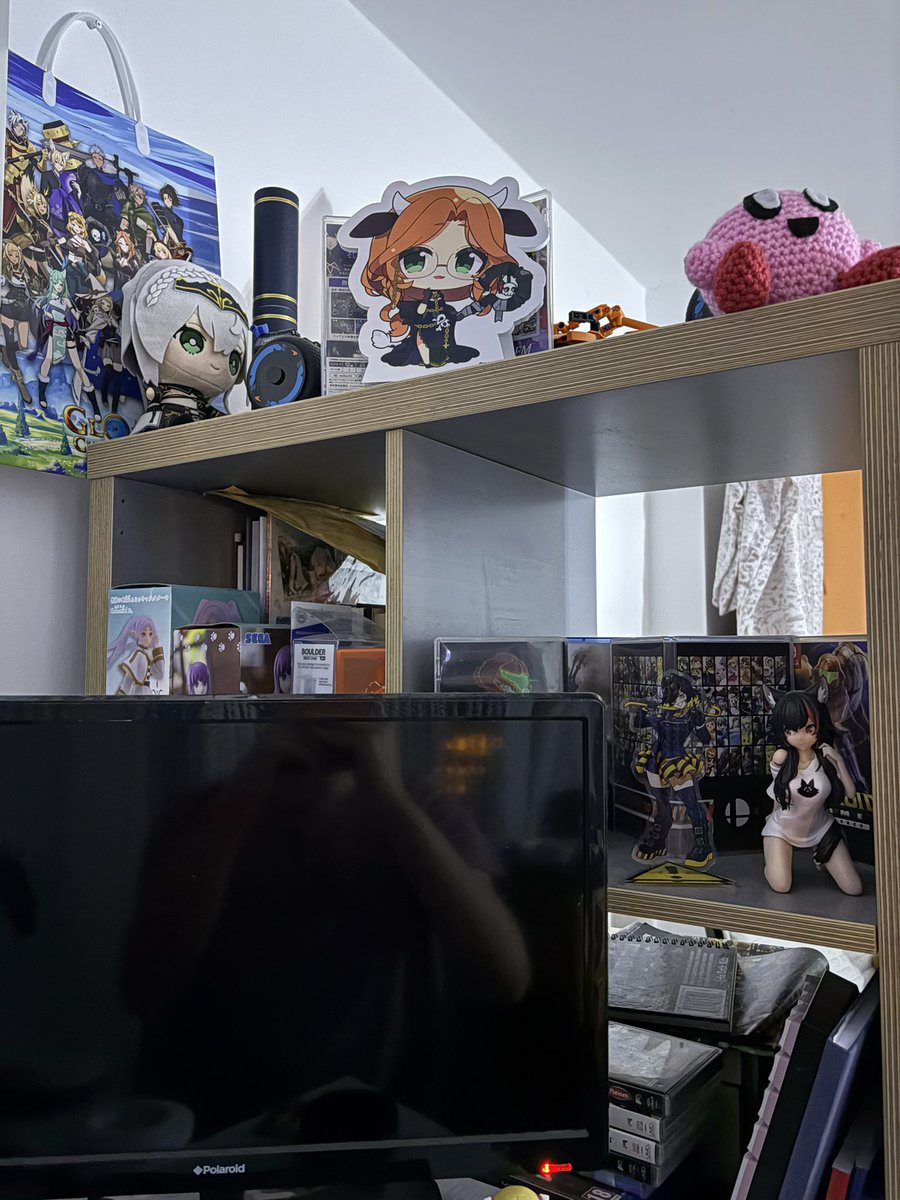 imsoarty's tweet image. I now have a an Ala chibi judging every web search I do

#AlicjaMemes