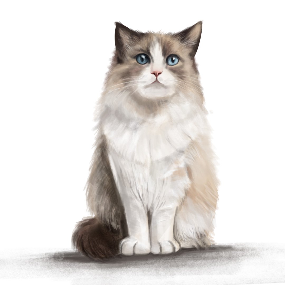 Happy #tezostursday 
1/1
3 $xtz
objkt.com/tokens/KT1HfJz…