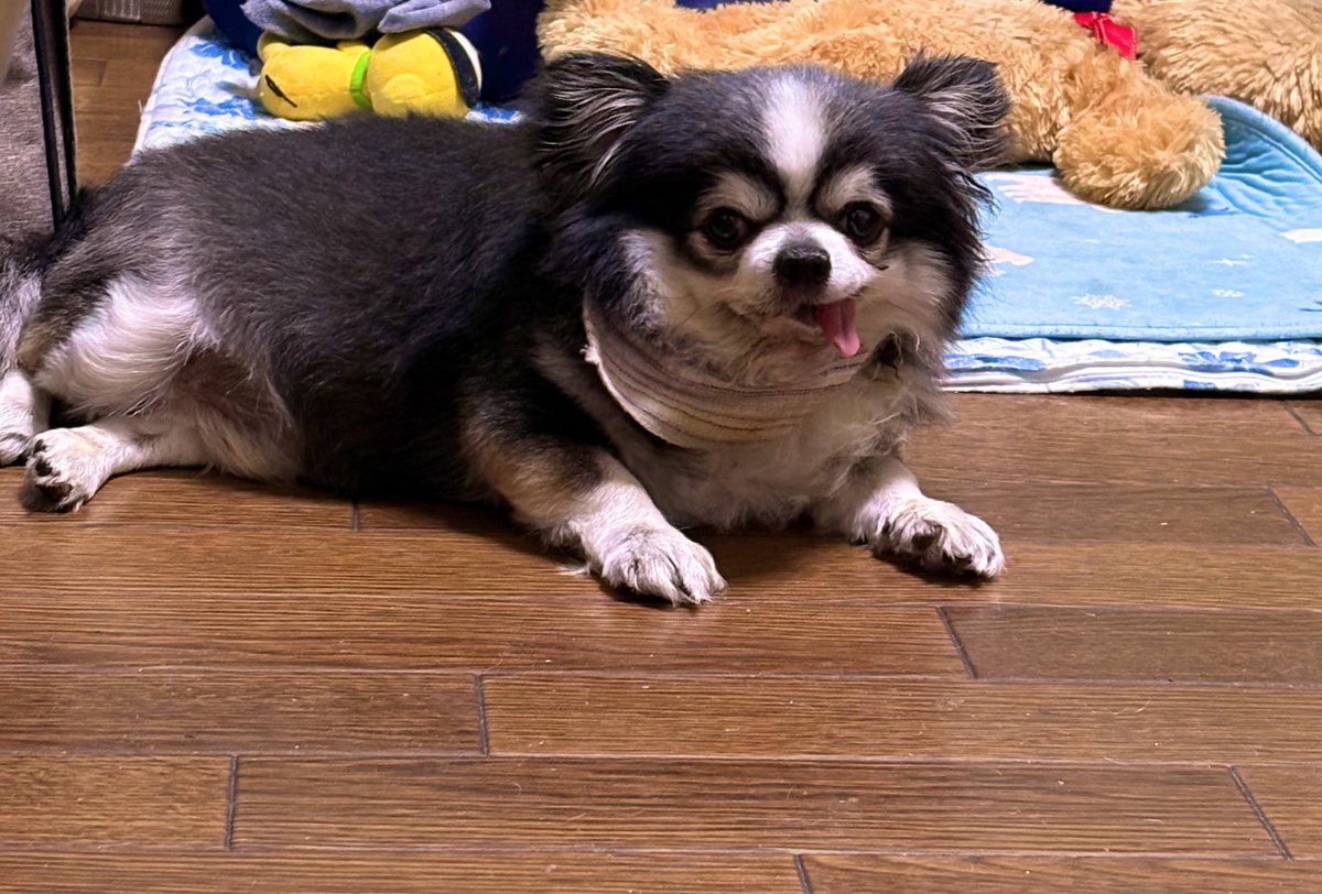すごく偉そうにお怒りの凛さま