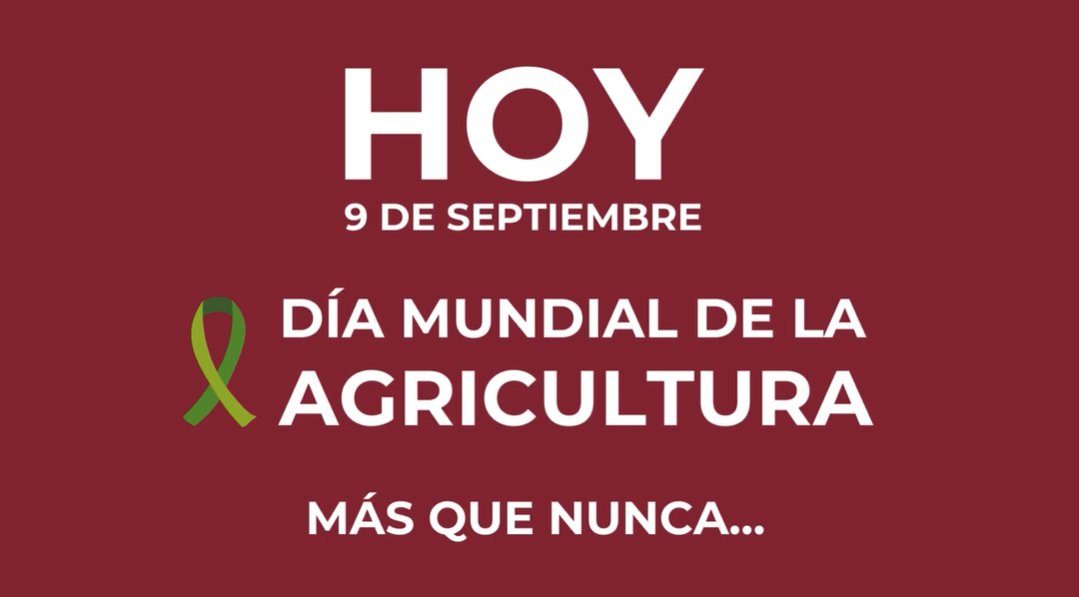 En el #DiaMundialDeLaAgricultura, desde la #MITV reivindicamos la #Agricultura como profesión esencial, única y nuestra 📍

Una profesión de futuro 👩‍🌾👨‍🌾

#TuComarcaTuFuturo

📹youtube.com/watch?v=L3v5Vf…