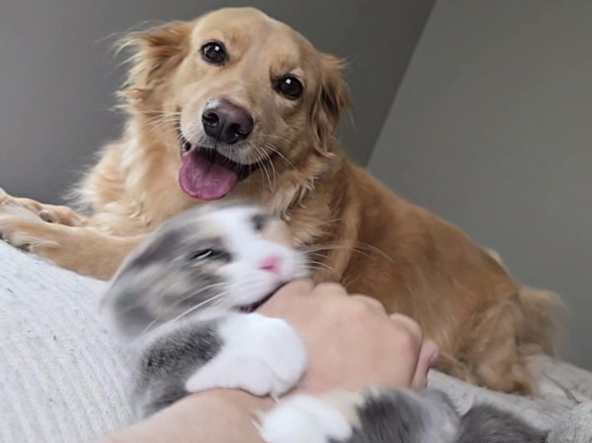 My gf took this pic while we were on video call and I'm CRYING AHAHAHAHAHAHAHAH