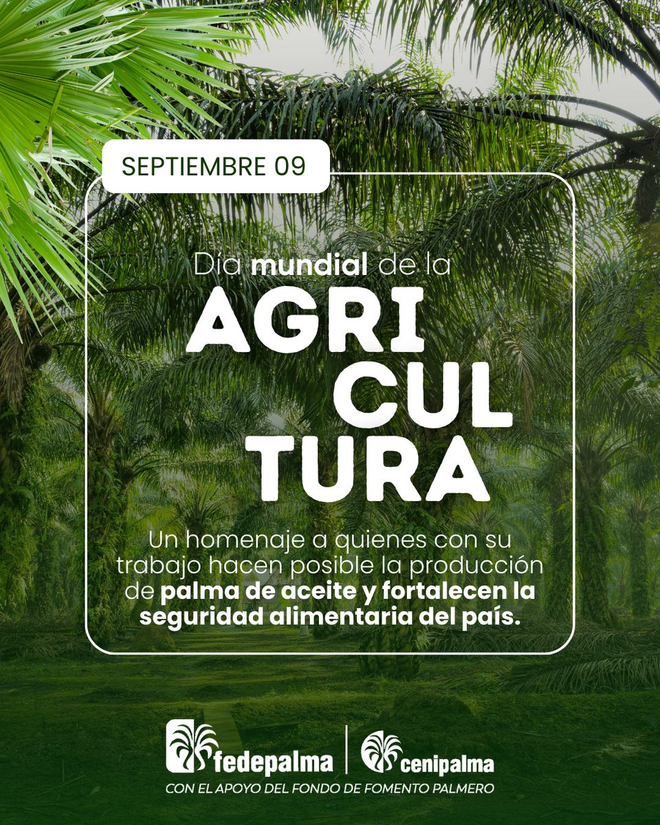 ¡Feliz #DíaMundialDeLaAgricultura! 🌱 En Colombia, la agricultura impulsa el desarrollo económico y social. Somos el mayor productor de palma de aceite en América, generando empleo y construyendo sostenibilidad para el futuro.