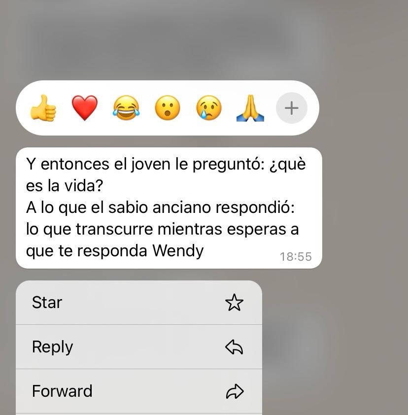 wendy tweet media